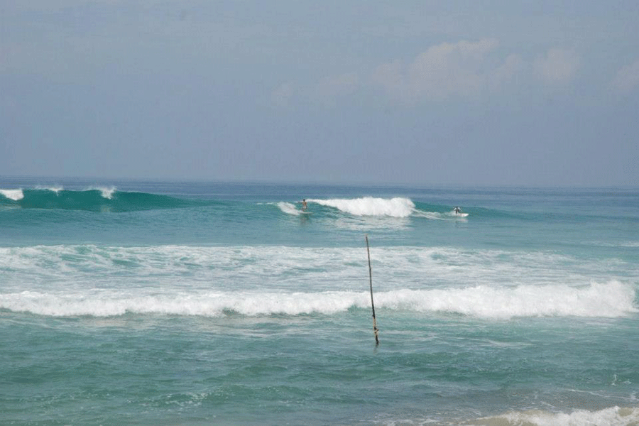 CoconutSurfPointBreakSurfSouthSriLanka Cornwall Surf Academy